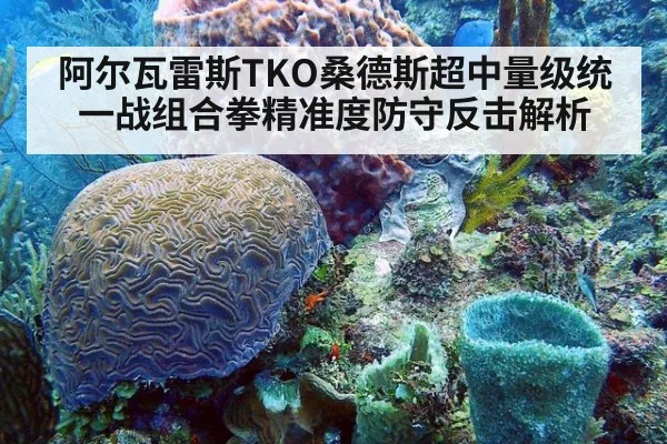 阿尔瓦雷斯TKO桑德斯超中量级统一战组合拳精准度防守反击解析